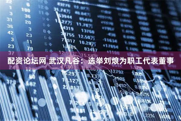配资论坛网 武汉凡谷：选举刘烺为职工代表董事