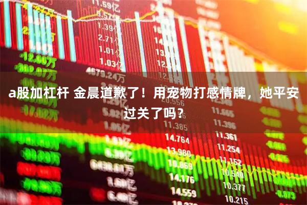 a股加杠杆 金晨道歉了！用宠物打感情牌，她平安过关了吗？